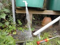 Der Wassergraben im naturnahen Garten - Blue Blog