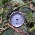 komposttermometer_s